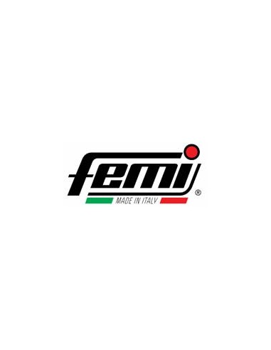 FEMI